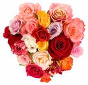 What’s your best Valentine’s Day story?