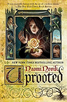 Uprooted by Naomi Navok