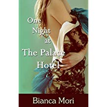 One Night at the Palace Hotel by Bianca Mori