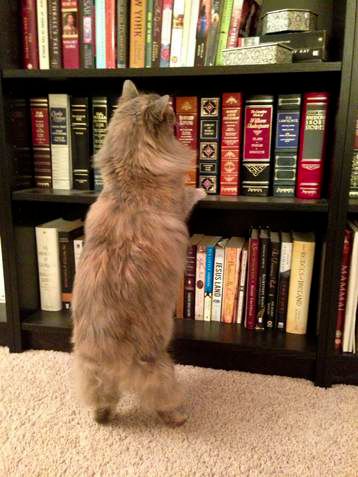 My Year in Books – So Far…