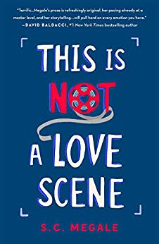 This is Not a Love Scene by S.C. Megale