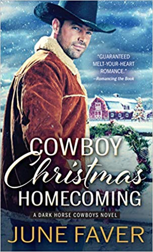 Cowboy Christmas Homecoming by June Faver