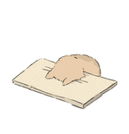 headdesk cat.gif