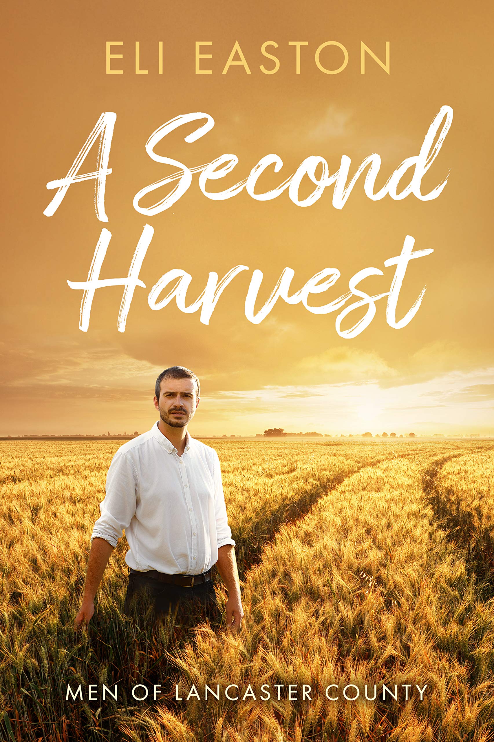 TBR Challenge – A Second Harvest by Eli Easton
