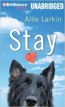 Stay by Allie Larkin