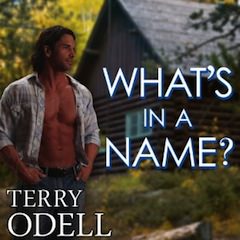 What’s In a Name by Terry Odell