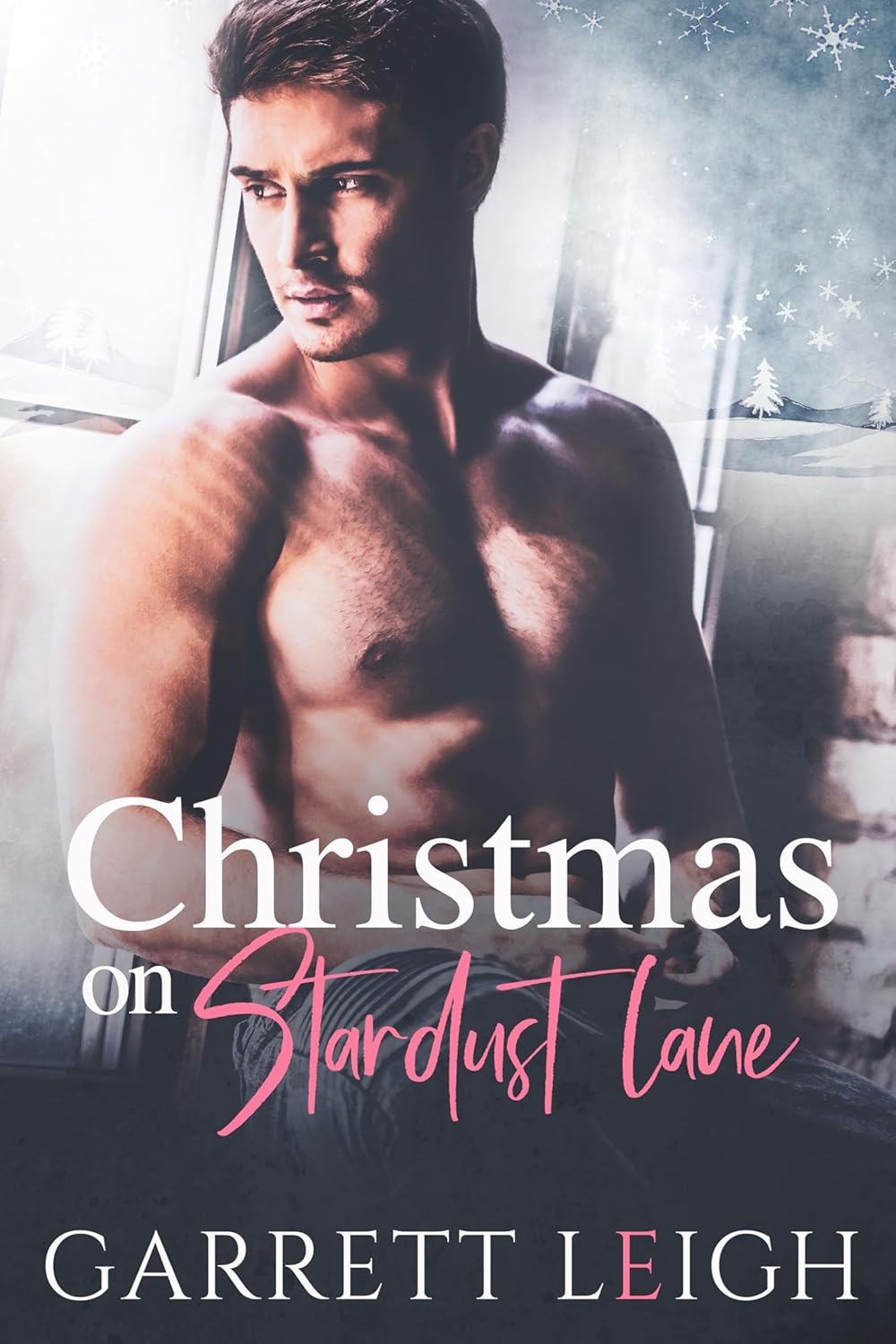 Christmas on Stardust Lane by Garrett Leigh