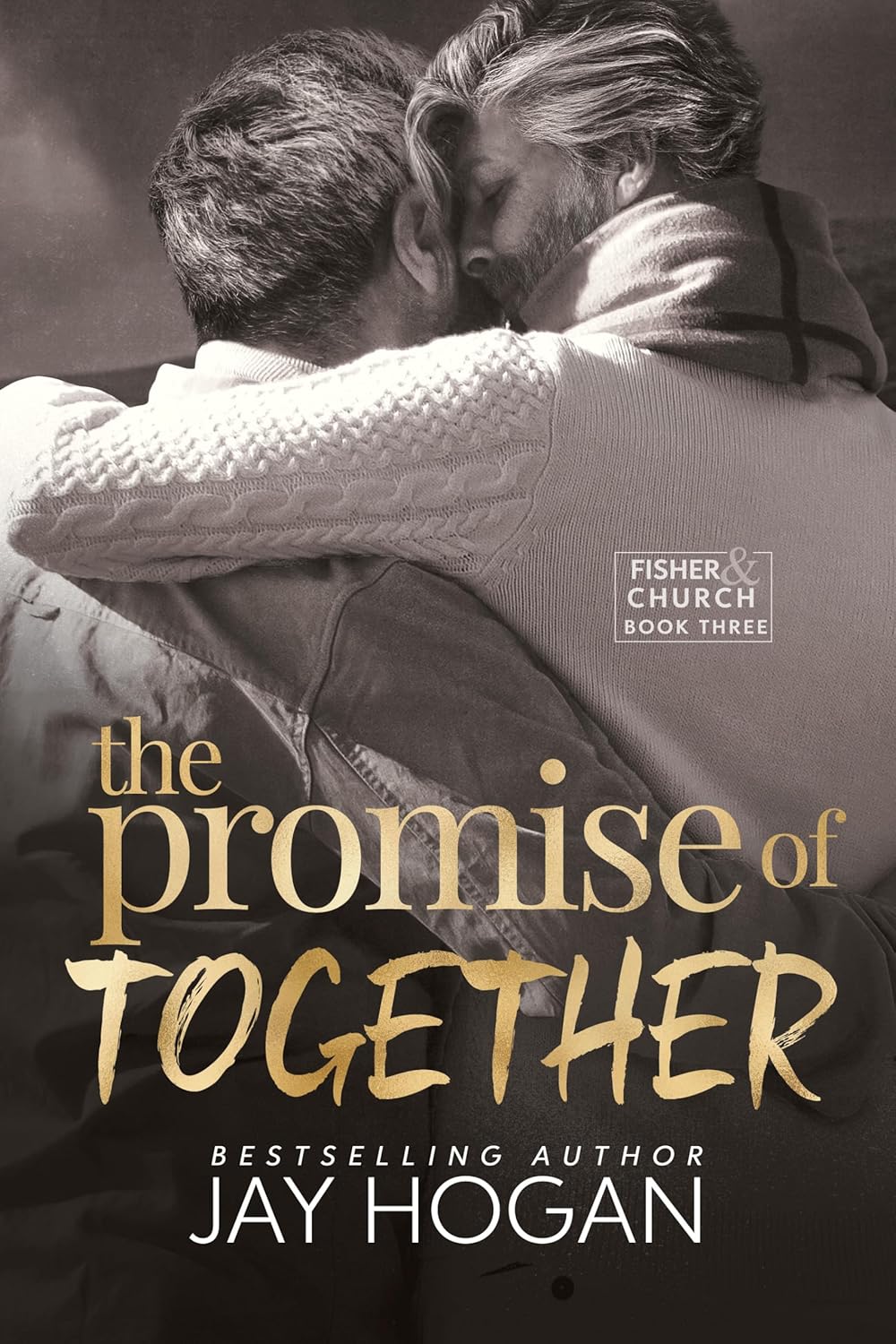 The Promise of Together by Jay Hogan
